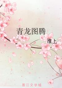 青龙图腾小说封面