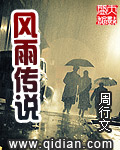 风雨传说小说紫微流年封面