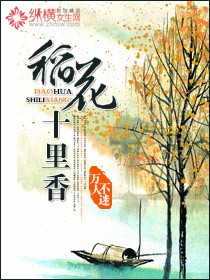 稻花十里香 小说封面