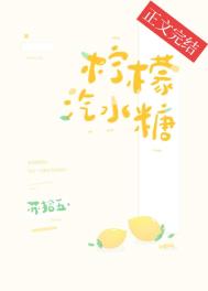 柠檬汽水糖小说封面