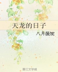 天龙的日子小说封面
