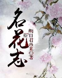 名花志小说封面