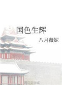 国色生辉小说封面