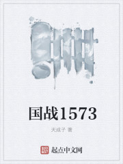 国战1573小说封面