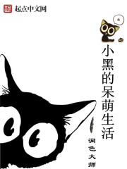 猫咪小黑动画片封面