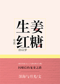 生姜红糖小说封面