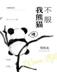 我熊猫不服小说封面